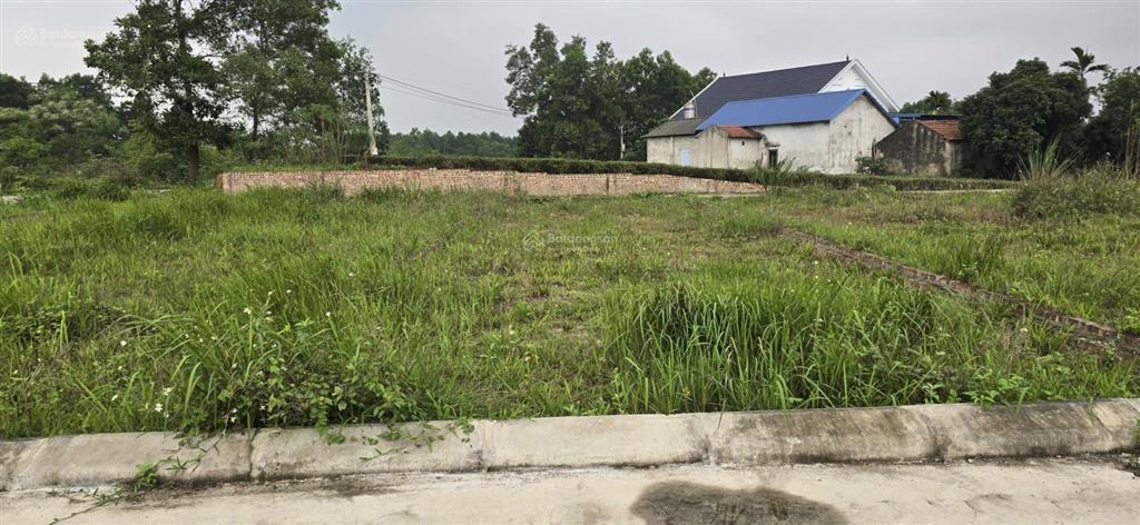 Bán đất lương hội trung giã hà nội 100m2, mt 5.5m, đất vuông đẹp, 950 triệu