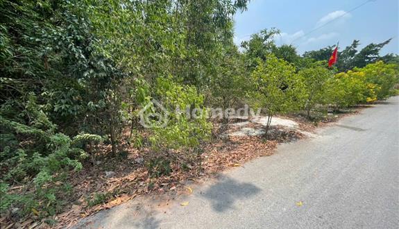Chính chủ bán đất Tân Thành 36 (408m² – ngang 6M – Full Thổ Cư)