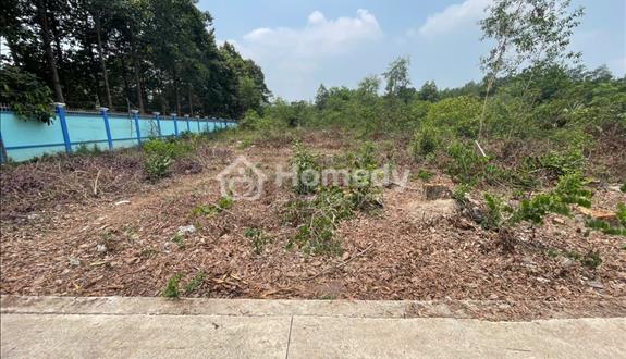 Chính chủ bán đất Tân Thành 30 full thổ cư, Bắc Tân Uyên – 359.9m², giá 3 tỷ 015 triệu
