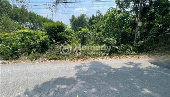 Chính chủ bán đất Tân Thành 11 full thổ cư, Bắc Tân Uyên – 494.3m², thổ cư cao