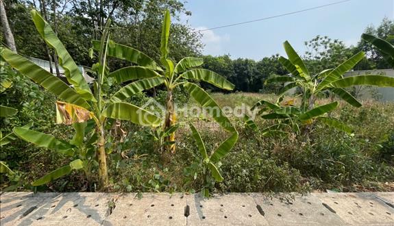Chính chủ bán đất full thổ cư Tân Thành 56, Bắc Tân Uyên – 708.5m², ngang 12m