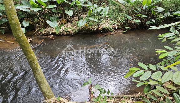 Bán 4548m2 vườn sầu riêng và bơ , giáp suối tại láng lớn ,có 200 thổ cư