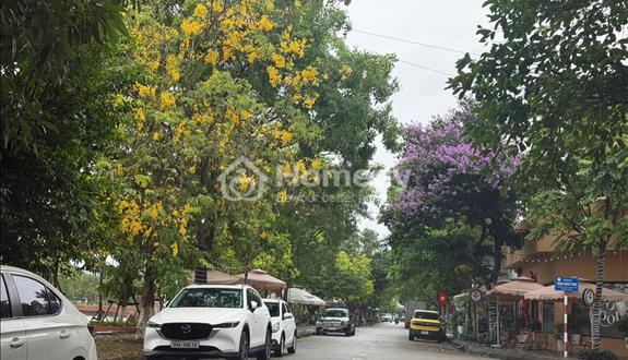 Lô Đất Đẹp Trung Tâm Gia Bình – Bắc Ninh, Gần Hồ Điều Hòa – Sinh Lời Cực Tốt