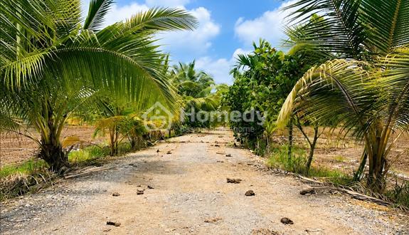 Bán đất thổ cư chính chủ 300m² (10m x 30m) tại Hựu Thạnh – Đức Hòa – Long An (nay thuộc Tây Ninh)