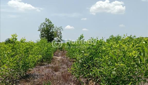 37.500m2 đất bằng View Sông nhỏ ,đường ô tô, cách nút giao cao tốc 800m