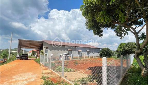 Bán Đất Ven Đà Lạt, Thế Đất Đẹp, Cao Ráo, View Núi Thoáng Đãng