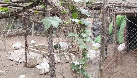 Chính chủ cần bán lô đất vị trí trung tâm thôn Tân Hưng - Xã Hùng Cường, Tp. Hưng Yên