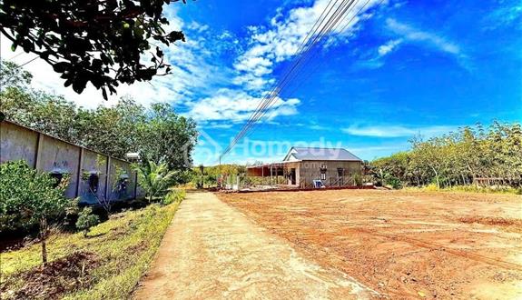 Chính Chủ Cần Bán Gấp Lô Đất 170M2 Có 50M Thổ Cư Giá 225tr