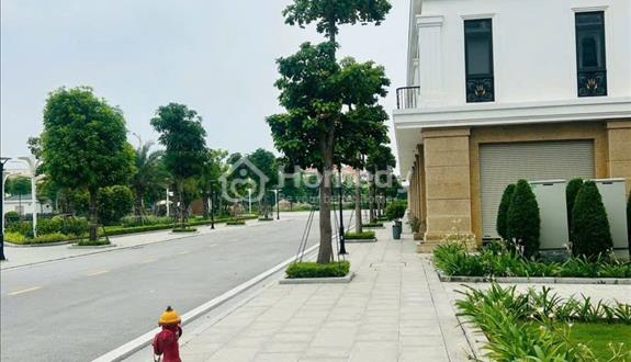 Cần bán gấp căn nhà 4 tầng ngay tại trung tâm hành chính Hải Phòng