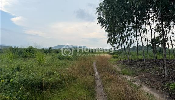 🔥 GẦN 9.000M² chỉ 800 triệu! Ngay chuỗi 7 KCN phía nam, Tân Minh - Lâm Đồng