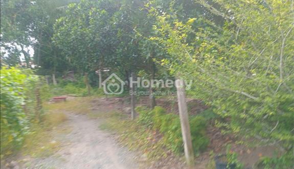🔥 Chính chủ hạ giá bán nhanh – 300M² đất vườn + 80M² thổ cư, Long Hoa, Tây Ninh 🔥