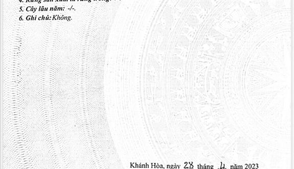 Đất đẹp 2 mặt tiền đường bê tông khu dân cư hiện hữu tại xã Ninh Sim (Tây Ninh Hòa), Khánh Hòa