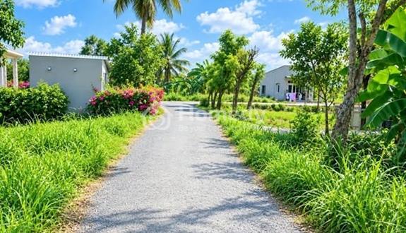 GẤP 2.300m2 giá rẻ Phường Sơn Qui, Tp Gò Công, cách HCM 45km, chủ kẹt bank thương lượng mạnh