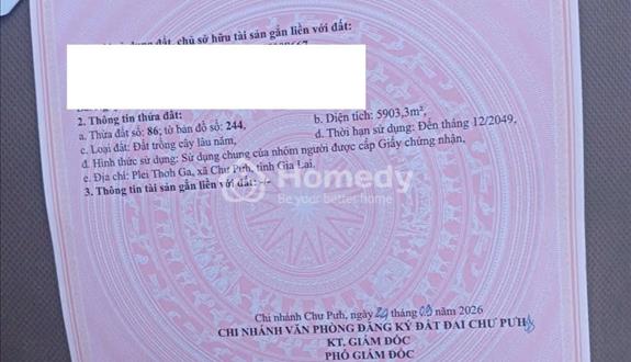 Chính chủ -Bán gấp 5,9 sào mặt tiền 150m - Chư Pưh, Gia Lai - có sẵn cây trồng và nhà ở - giá tốt