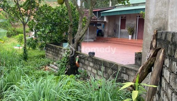 Chính Chủ Bán 1 Lô Đất SĐCC 250m². 2 mặt tiền 10m. Oto Đỗ Cửa. Giá thanh lý. (Tách được làm 2 lô)