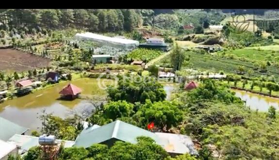 Bán gấp Điền Trang nghỉ dưởng giá tốt tại Tà Nung Đà Lạt