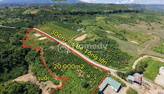 Đất Di Linh 333m mt bê tông 2ha giá 360tr/sào có nguồn thu