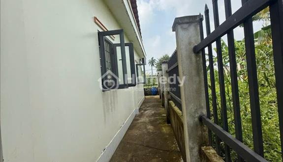 🌿 Chỉ với 1 tỷ 5 sở hữu ngay nhà vườn 283M² tại Tân Trụ cách trung tâm TPHCM 1 tiếng 15 phút