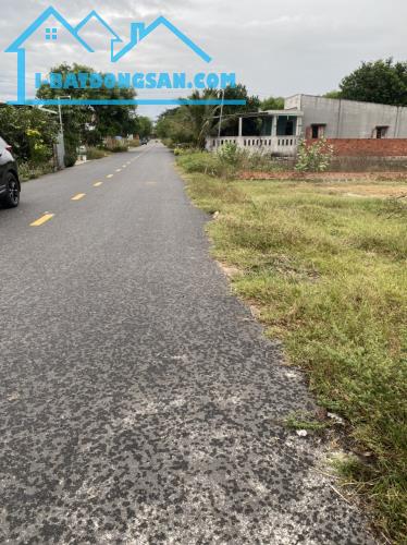 Chính chủ cần bán 2 lô liền kề sau trường mầm non hoa phượng đường nhựa Long Hải 16tr/m