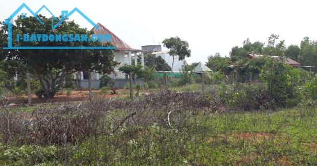 Đại Hạ Giá nhiều đất Mẫu-Gần sân bay Thiện Nghiệp-Mũi Né(Phan Thiết)