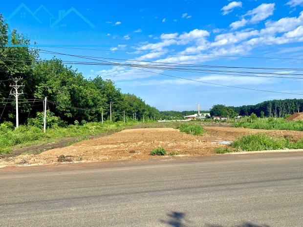 CẦN TIỀN NUÔI BÒ BÁN 1600M2 ĐẤT MT TỈNH LỘ SÁT CHỢ, TRƯỜNG HỌC DÂN ĐÔNG GIÁ 280 TR