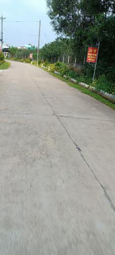 Bán nhà vườn xã Bình Lợi,Vĩnh Cữu. Dt 6500m sr cln. Đường oto.Giá 8,5 tỷ