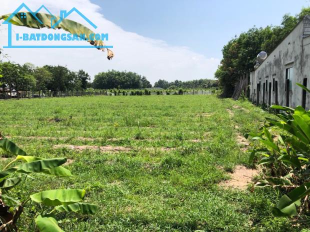 Bán đất MT Trương Thị Kiện, Thái Mỹ, Củ Chi: 3,150m2, giá 15 tỷ.