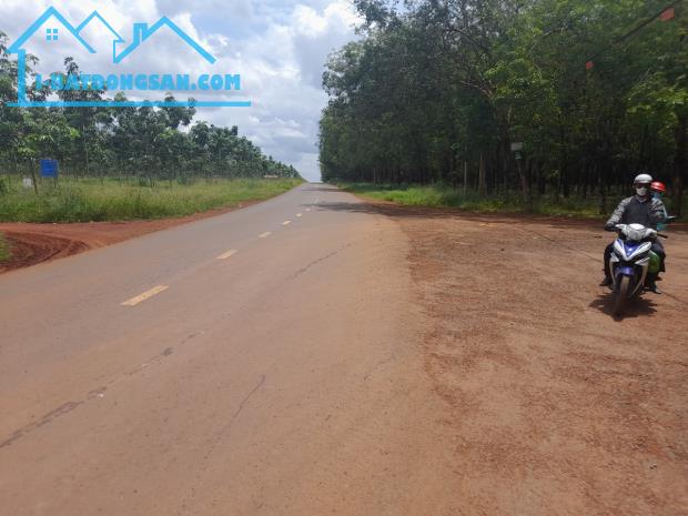 đất sào khu công nghiệp giá 390tr \1000m2