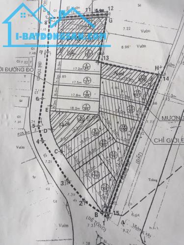 Bán đất đấu giá Tiên Hội Đông Hội Đông Anh sát dự án Vinhomes Cổ Loa