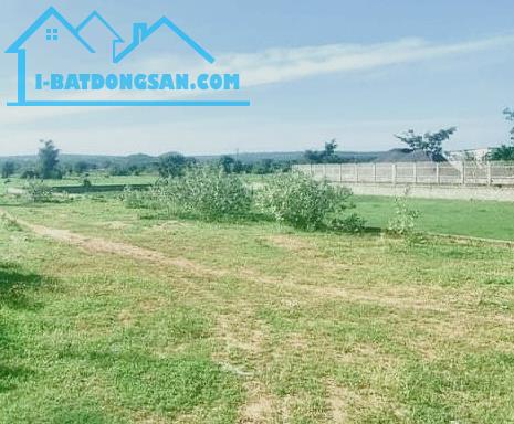 Nhiều Đất vườn Novaworld-Phú Hưng-Hàm Mỹ-Gồm nhiều lô 1.000m2/1 lô