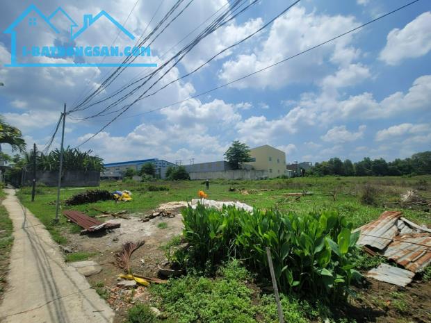 Bán Gấp 4500m2 40x115m , MT Đường Hoàng Phan Thái, Bến Lức, Long An, đường nhựa 20m
