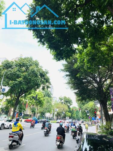 Chủ Mót Bán, Hạ Sốc 33 Tỷ, Giá Chào 90 Tỷ, MP Phan Chu Trinh 113M2 9T Thang Máy, KD Đỉnh