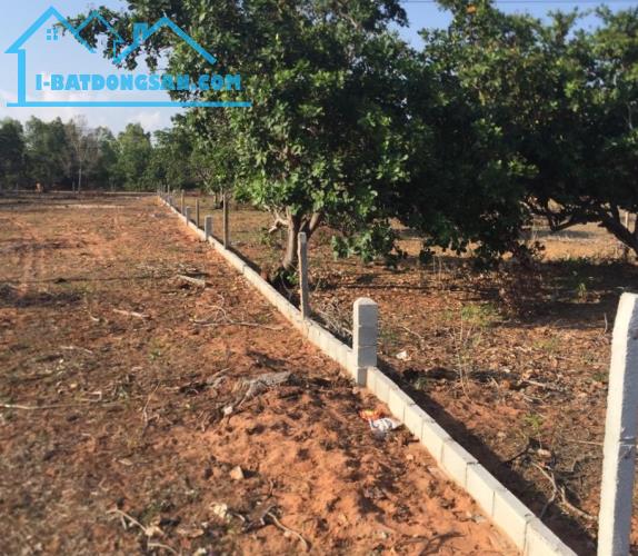 Đất mặt tiền 28m DT715-Mũi Né(Thiện Nghiệp)-Lâm Đồng-5.820m2,có 400m2TC