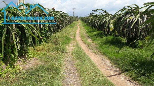 Đại hạ giá-Đất MT đường,MT Suối-Gần Chợ,Ga Mương Mán,gần DT707-DT 1,4ha