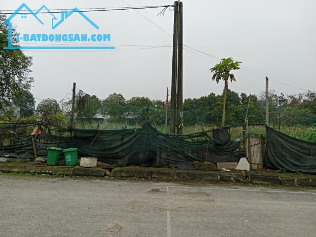 Cần bán lô đất biệt thự Khu đô thị Hoàng Long, Phường Tào Xuyên, Thành phố Thanh Hóa 315m2