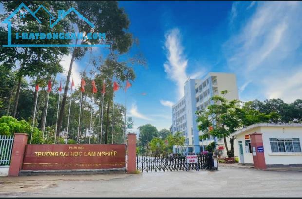 bán đất đường trần phú, xã quảng tiến, trảng bom sổ hồng riêng 2200m2 giá chỉ 10 tỷ