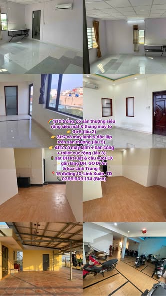 18 Cây Da Xề