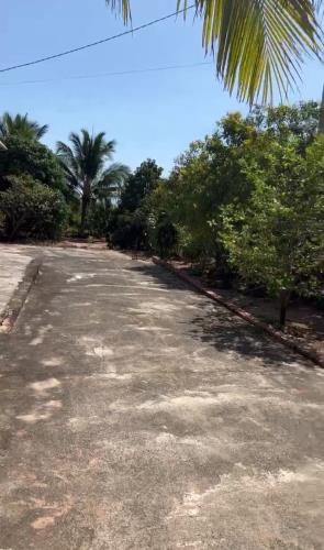 Đại Hạ Giá-Đất gần Biển-Tiến Thành-Lâm Đồng-DT:1 sào+1.960m2 có 360m2TC