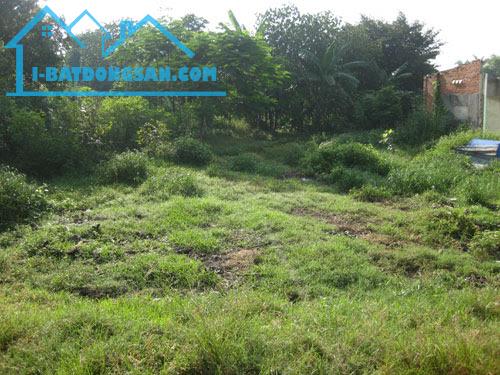 Bán đất xây phòng trọ, nhà vườn ở xã Phú Xuân, TP. Thái Bình