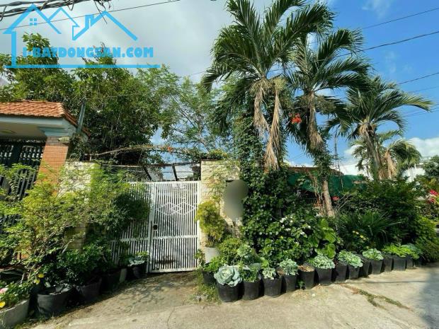Đất 9,5x24m đường 49 phường Bình Thuận Q7, giá 30 tỷ TL
