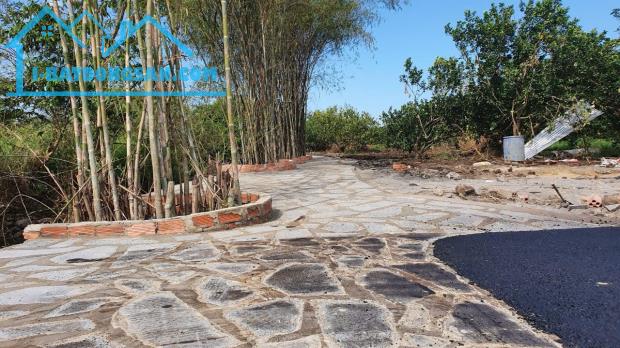 ĐẤT thổ cư cạnh sân bay Long Thành