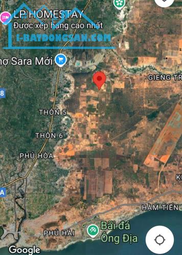 Đất Hàm Đức-Hàm Hàm Thuận Bắc-Gần Sân Bay-2 thửa LK:1.350m2CLN+1.390m2CLN