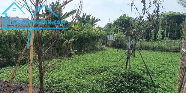 Đường Bình Mỹ xe hơi thông, 10x12,5m xây ở ngay, 750tr