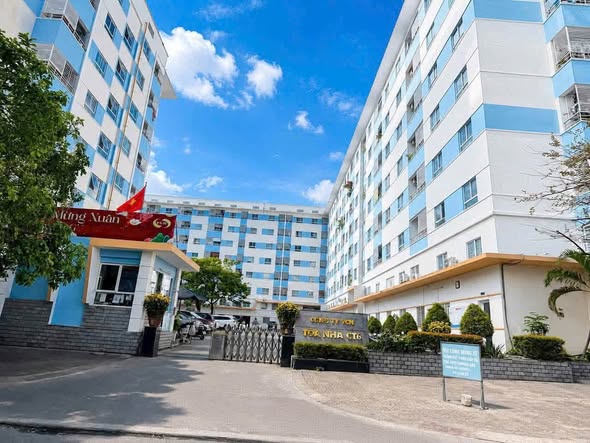 CT6 VĐT Nha Trang