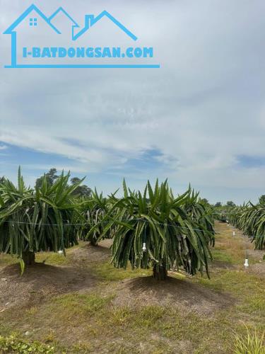 Đất vườn Thanh long,View Suối-Hàm Minh-Hàm Thuận Nam-Gần QL1A,hướng Biển-6.500m2CLN