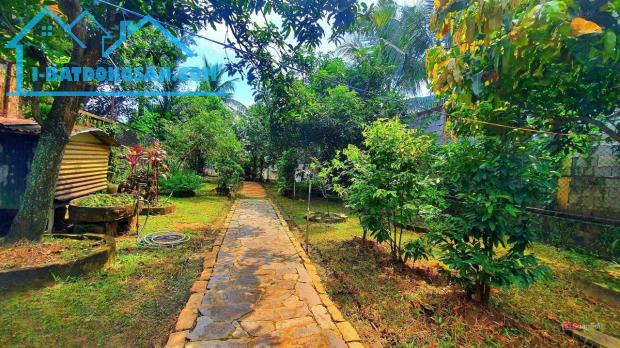 Hơn 600m mặt tiền Nguyễn Thành Phương, P. Thống Nhất. full thổ cư. Giá còn 45 tỷ.