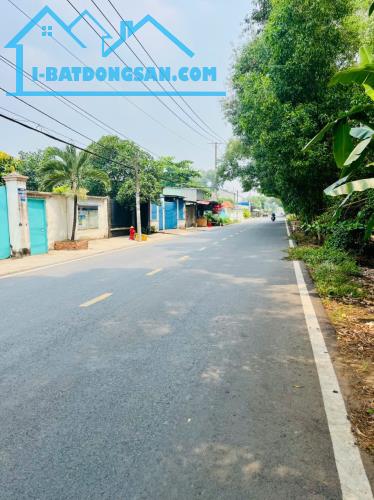 Bán Đất Sổ Hồng Mặt Tiền An Hạ Bình Chánh 22.000m2 Giá 4.5tr/m2