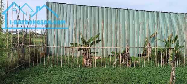 Đất đường Bình Mỹ ô tô đỗ cổng, dựng nhà ở liền, 390tr