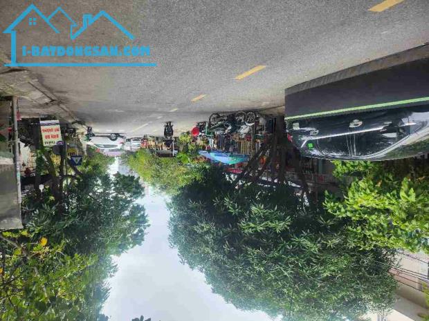 CHU CHOA MẠ ƠI . CHỈ CÒN 1 LÔ DUY NHẤT NGAY NAM VIỆT Á RẺ BẤT NGỜ