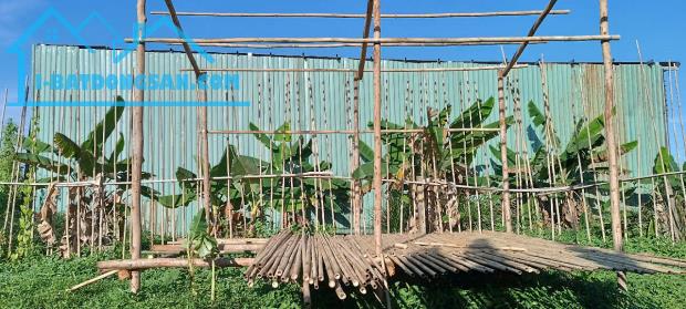 Đất đường Bình Mỹ gần Vành Đai 3, ô tô thông, 390tr
